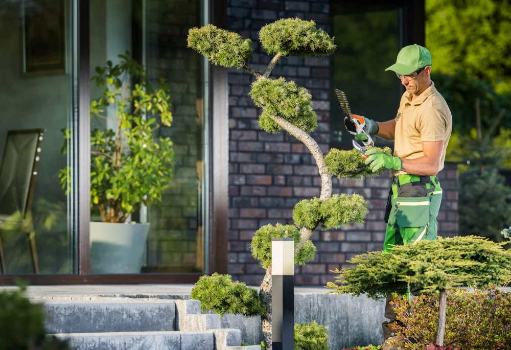 Top Landscaping Solutions in Moregloed : Kainos Your Garden